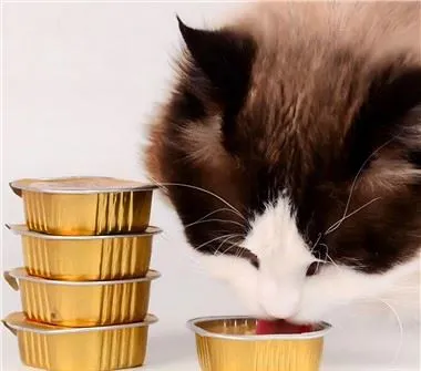 Aliuminio konteineriai naminiams gyvūnėliams